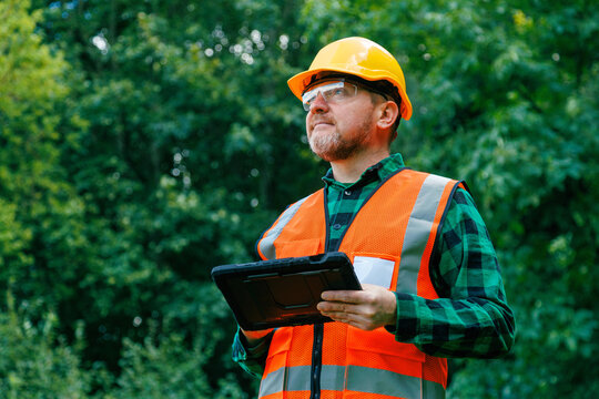 Male forestry engineer in a yellow hardhat, safety glasses, and reflective orange vest holding a digital tablet and looking up at trees in a green woodland area. Environmental inspector or arborist.