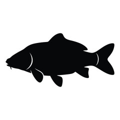 Fototapeta premium Black Silhouette of a Carp Fish animal