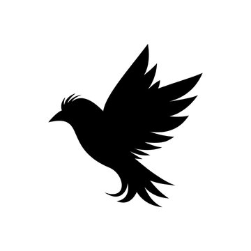 Black Silhouette of a Bird in Flight.