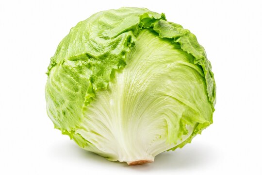 Fresh iceberg lettuce head isolated on a white background. Crisp green organic vegetable, perfect ingredient for healthy salads, sandwiches, and cooking.