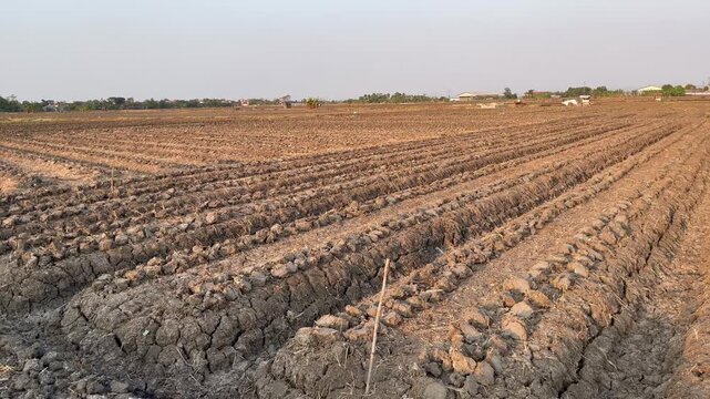 Vast cultivated farming field rows ready for seed planting