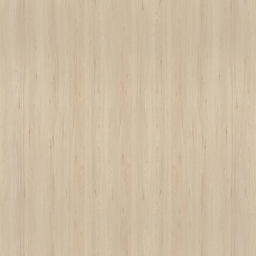Light beige wooden texture with vertical grain pattern vertical background material laminate interior woodwork backdrop construction forestry carpentry structure