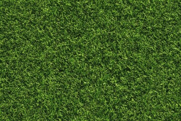 Obraz premium Top view close-up of fresh green grass field texture surface