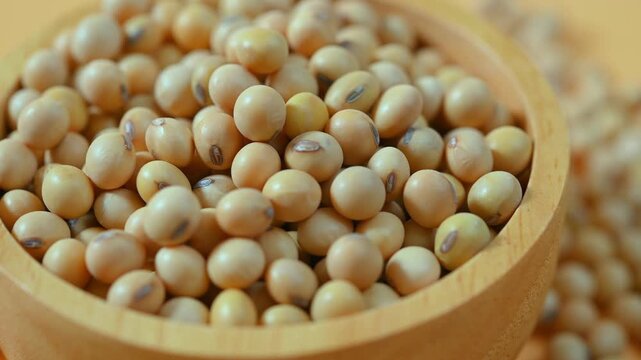 Dried Soybeans in Wooden Bowl	