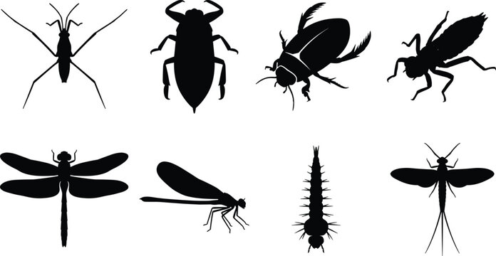 Aquatic insect silhouette set vector icons