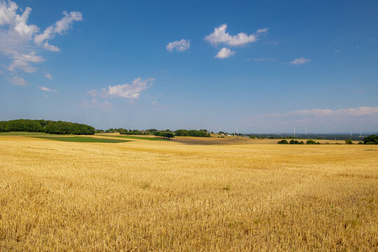 Summer countryside landscape, Slope hill with blue sky, Farmland and straw of Triticum aestivum, wheat after harvested, Voerendaal, Gulpen-Wittem and region, The Dutch province of Limburg, Netherlands