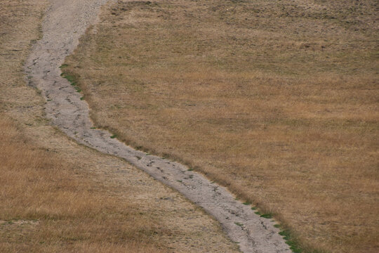 View of a dry landscape with parched grass