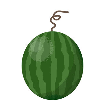 Whole and round watermelon fruit with green skin for textile, logo, icon, ornament, template, patchwork