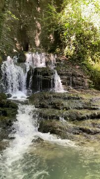 fresh water flows down dark mossy rock terraces in a lush forest, creating a small multi-level waterfall and gentle ripples in a cool shaded wilderness stream setting