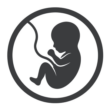 Fetus in Womb Silhouette Icon Representing Pregnancy and Prenatal Care