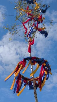 Maypole ribbons decorating birch tree against sky