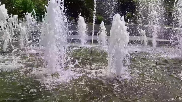 Multiple streams of water spray vertically from a circular fountain in a lush green public park. Concept of urban cooling, summer relaxation, refreshing water features, and city landscaping.
