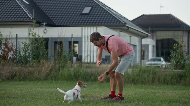 Man Playing with Jack Russell Terrier and Toy Balls Outdoors