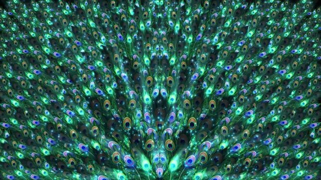 A close-up view of a peacock's vibrant feather display, showcasing its intricate patterns and brilliant colors. The image highlights the beauty and elegance of nature's artistry.