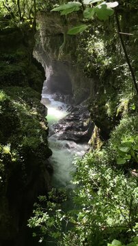 clear mountain water races through a shadowy moss-covered gorge, framed by dense green foliage and rugged limestone cliffs in a secluded subtropical forest canyon