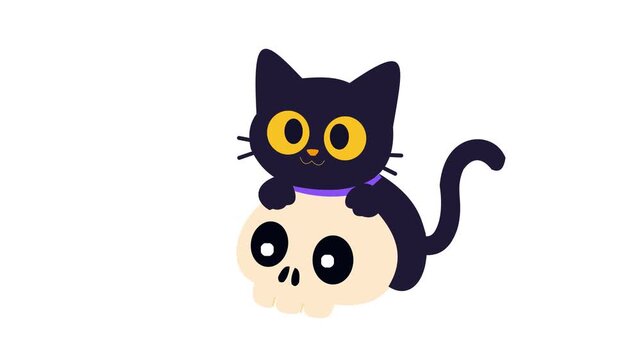 Cute Black Cat Sitting on Halloween Skull Animation