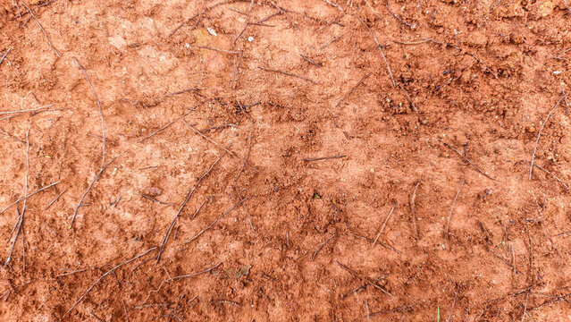 Rough red clay soil texture with small twigs in Papua, Indonesia