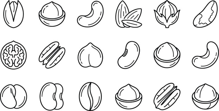 Nuts and seeds superfood line art vector icon set featuring almond cashew walnut pistachio macadamia pecan and hazelnut symbols.eps
