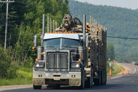 Quebec, Canada, 29 June 2026 : A Western Star logging truck transports timber logs on a rural highway with a mountainous forest background.