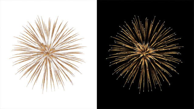 Golden fireworks burst isolated on white and black backgrounds with fireworks