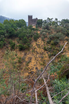 An ancient stone castle tower with battlements stands dramatically on a forested hilltop
