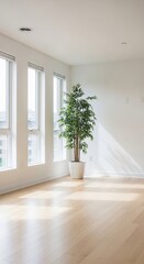 Fototapeta premium Sun-Drenched Sanctuary: Light Plays Across an Empty Haven
