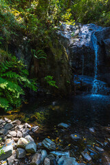 A small waterfall cascades down dark mossy rocks i © wundermann