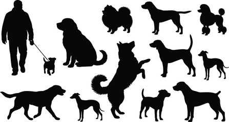 Dog Breed Black Silhouette Vector Set Featuring Owner Walking Puppy Retriever Pomeranian Poodle and Husky Poses for Veterinary Clinic Logo and Pet Care Brand Stamps © Shakil