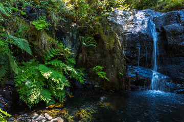 A small waterfall cascades down dark mossy rocks i © wundermann