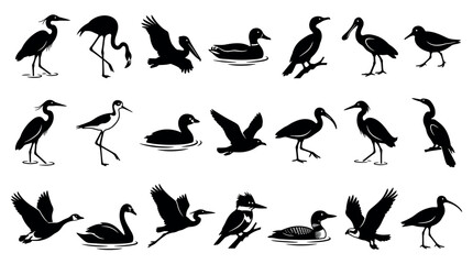 Assorted collection of water bird silhouettes including herons swans and aquatic species © Tanzilur