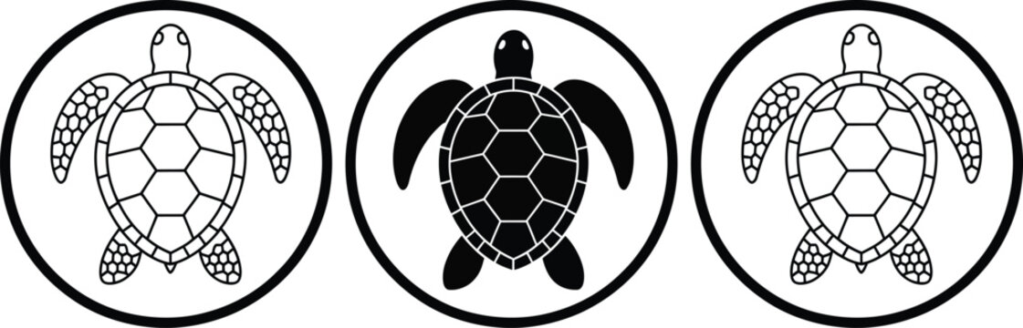 Three cartoon turtles with soccer ball patterns on shell
