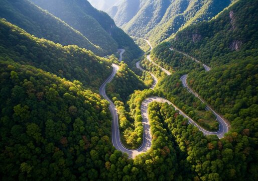 Emerald Embrace: A Winding Path Ascends Verdant Peaks