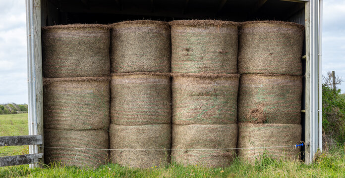 Poaceae, Wellblech Scheune mit gestapelten Rundballen, Landwirtschaft auf dem Land, Rostige Feldscheune mit Heuballen im Panoramablick