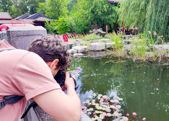 Fotobehang Lotusbloem woman with short black hair in pink shirt photographing water lilies and lotus flowers in pond at traditional Chinese garden. Tourism, travel photography, cultural heritage site, Asian architecture  © Ninaveter