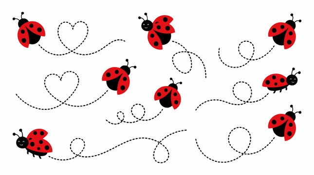 Cute ladybug vector set with dotted flight paths, red ladybird beetle illustrations with heart shaped trails, cartoon insect collection