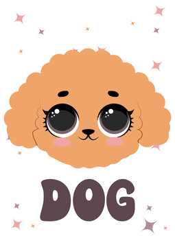 Cute fluffy poodle dog face portrait with sparkles and text for kids nursery apparel poster print