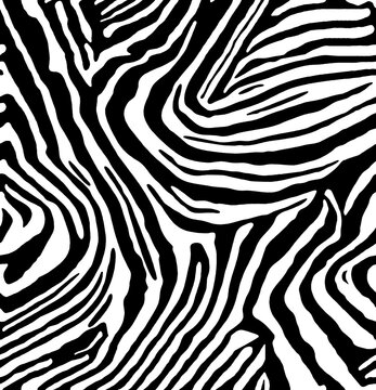 zebra animal skin seamless pattern, safari texture textile 
