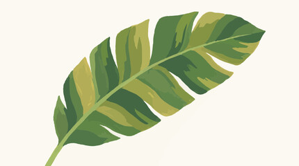Watercolor Banana Leaf Botanical Illustration © Bima