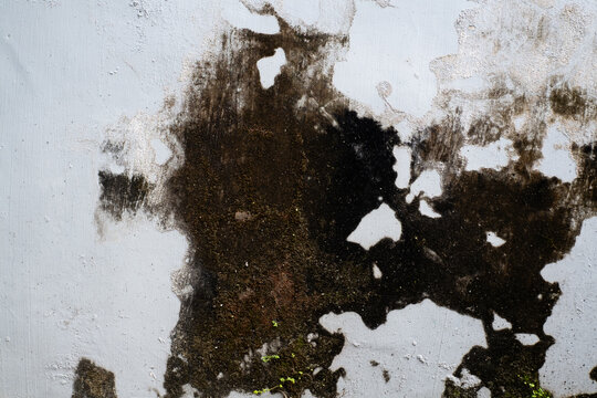 Close-up of damaged white wall with peeling paint and black mold texture.