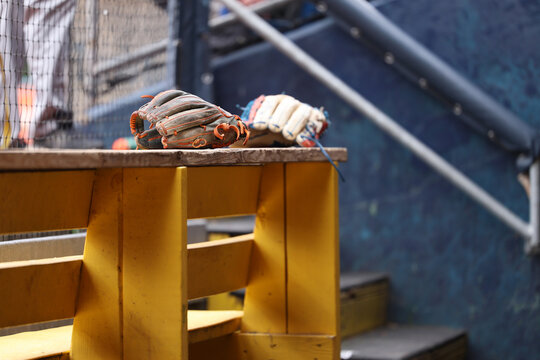 Gant de baseball sur un banc dans un stade de sport, gros plan. Un gant de baseball sur le banc de l'abri des joueurs dans un stade de baseball.