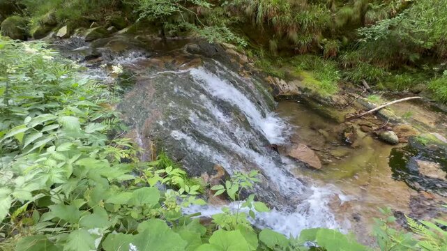 All Saints Waterfalls or Allerheiligen Waterfalls (Black Forest National Park, Germany) - Allerheiligen Wasserf&auml;lle (Nationalpark Schwarzwald, Deutschland) - Chutes d'eau de la Toussaint (For&ecirc;t-Noire)