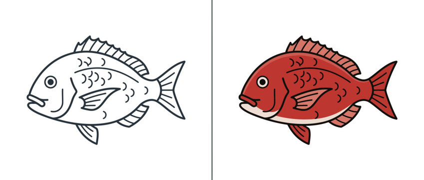 Red Sea Bream Vector Illustration with Line Art and Colored Version for Seafood Restaurant Branding