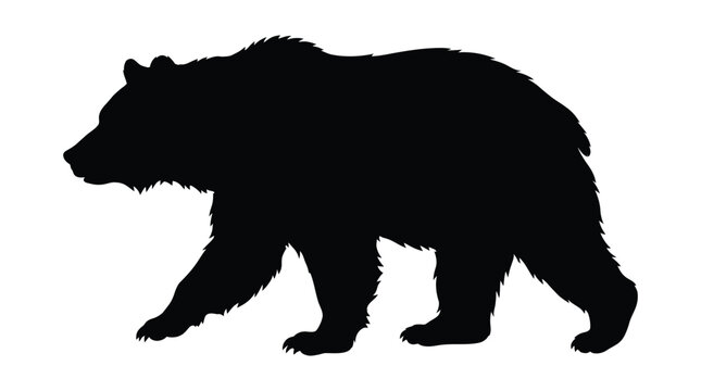 Black bear walking silhouette against a white background silhouette
