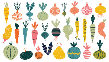 Hand-drawn vector collection of various colorful root vegetables like carrots, beets, and onions in a modern flat folk art illustration style © Aldos