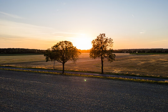 Low Aerial View of a Country Road at Sunset with Sun Between Trees
