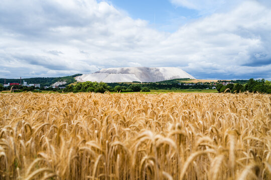Wide shot of Monte Kali Near Heringen with Golden Grain Field in Summer Landscape
