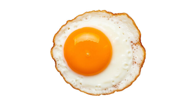 Fried egg with a bright yellow yolk sits centered on a clean white background for culinary display.