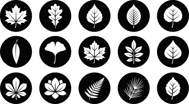 Set of fifteen hand drawn leaf icons featuring various tree species in a rustic black and white style