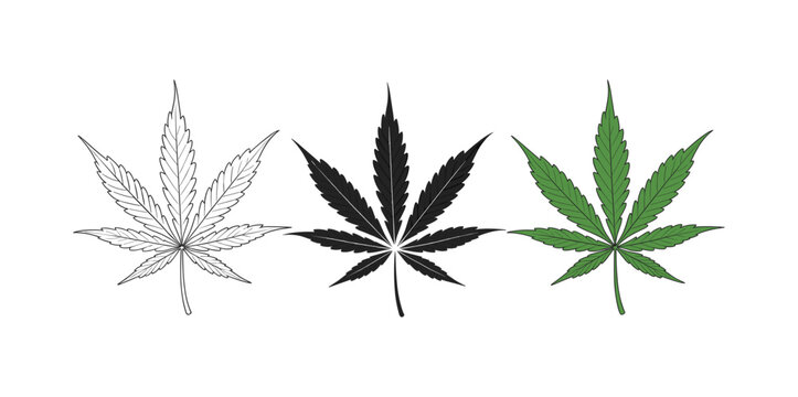 Marijuana leaf icon collection. A set of three iconic marijuana leaves, depicted in line art, solid black, and vibrant green, representing different styles and views of the plant.