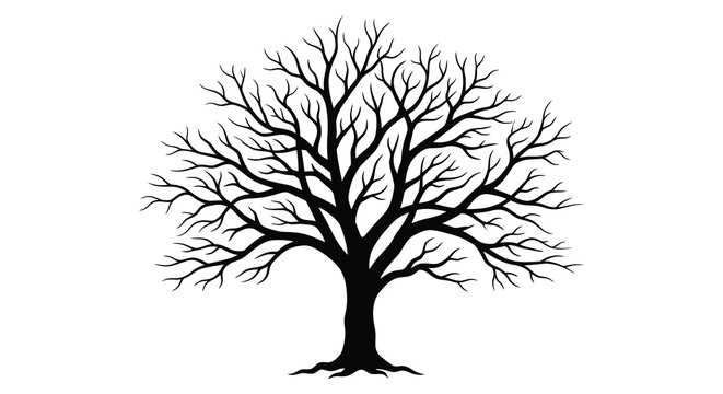 Bare tree with intricate branches a black silhouette against a white background